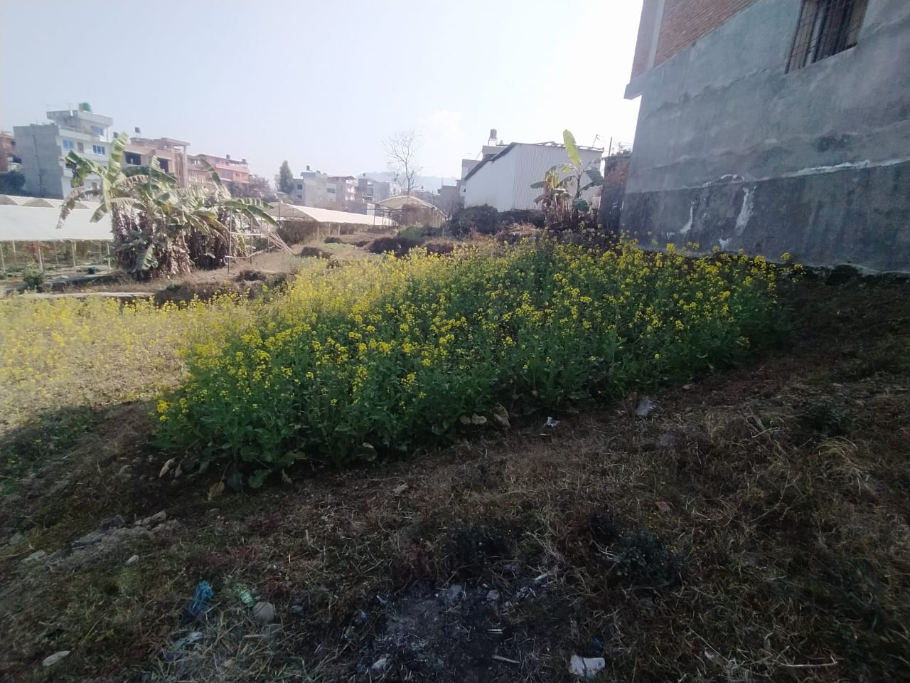 Picture of Mahalaxmi Municipality, Bagmati